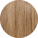 #6 Light Golden Ash Blonde